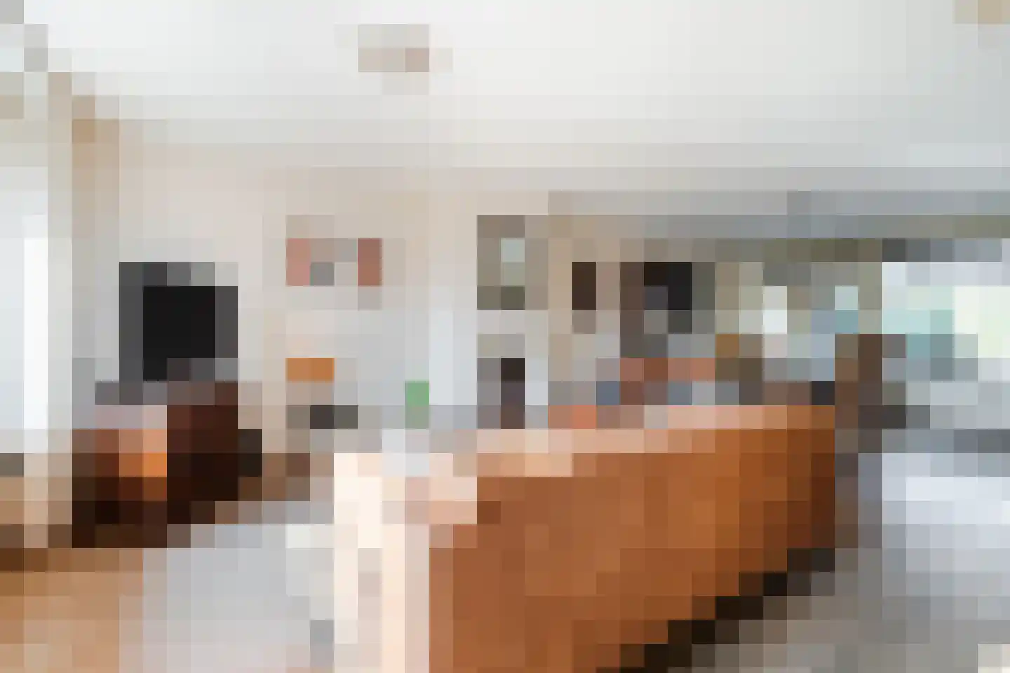 Patrijsstraat 31 Bergen L thumbnail 10