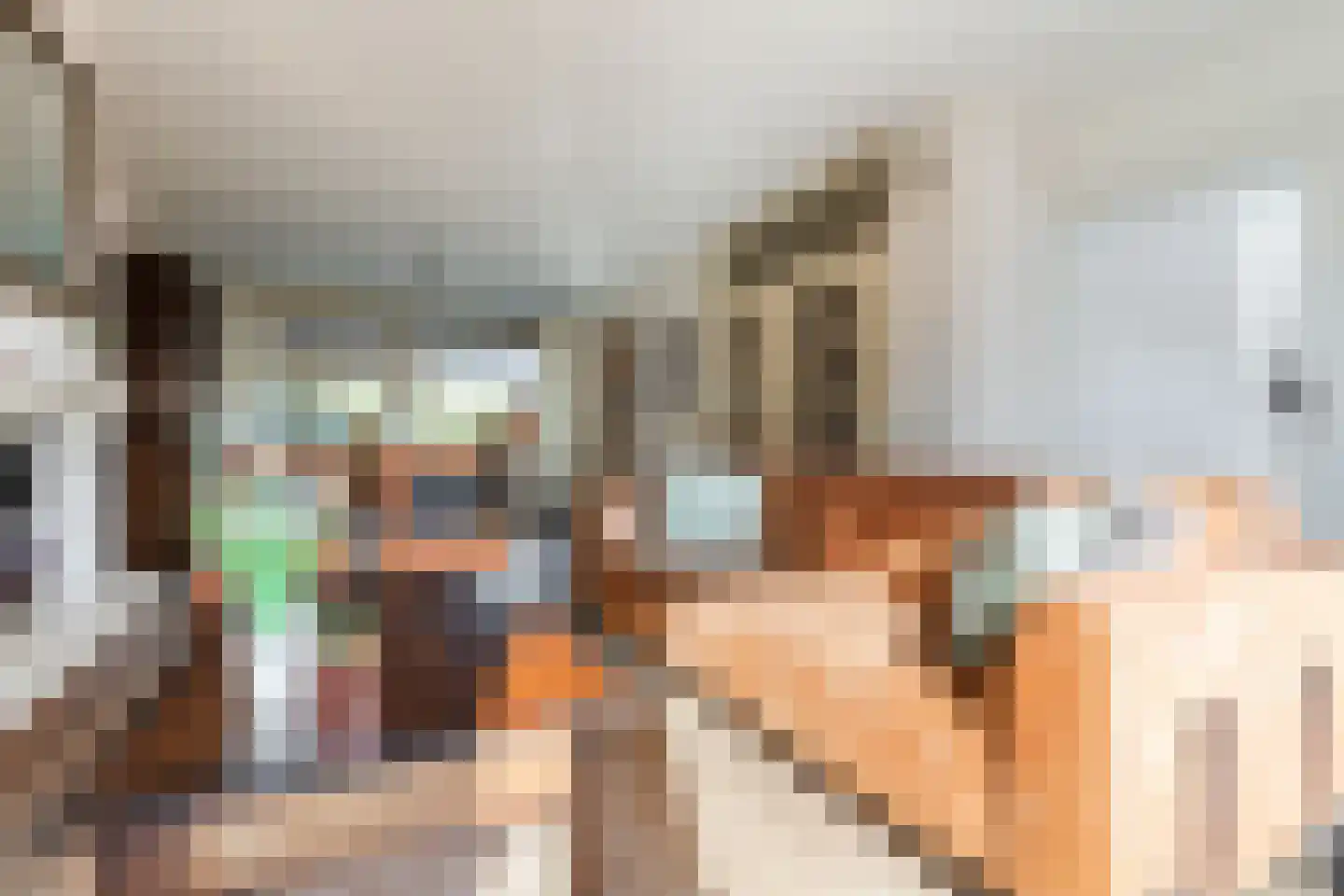 Patrijsstraat 31 Bergen L thumbnail 11