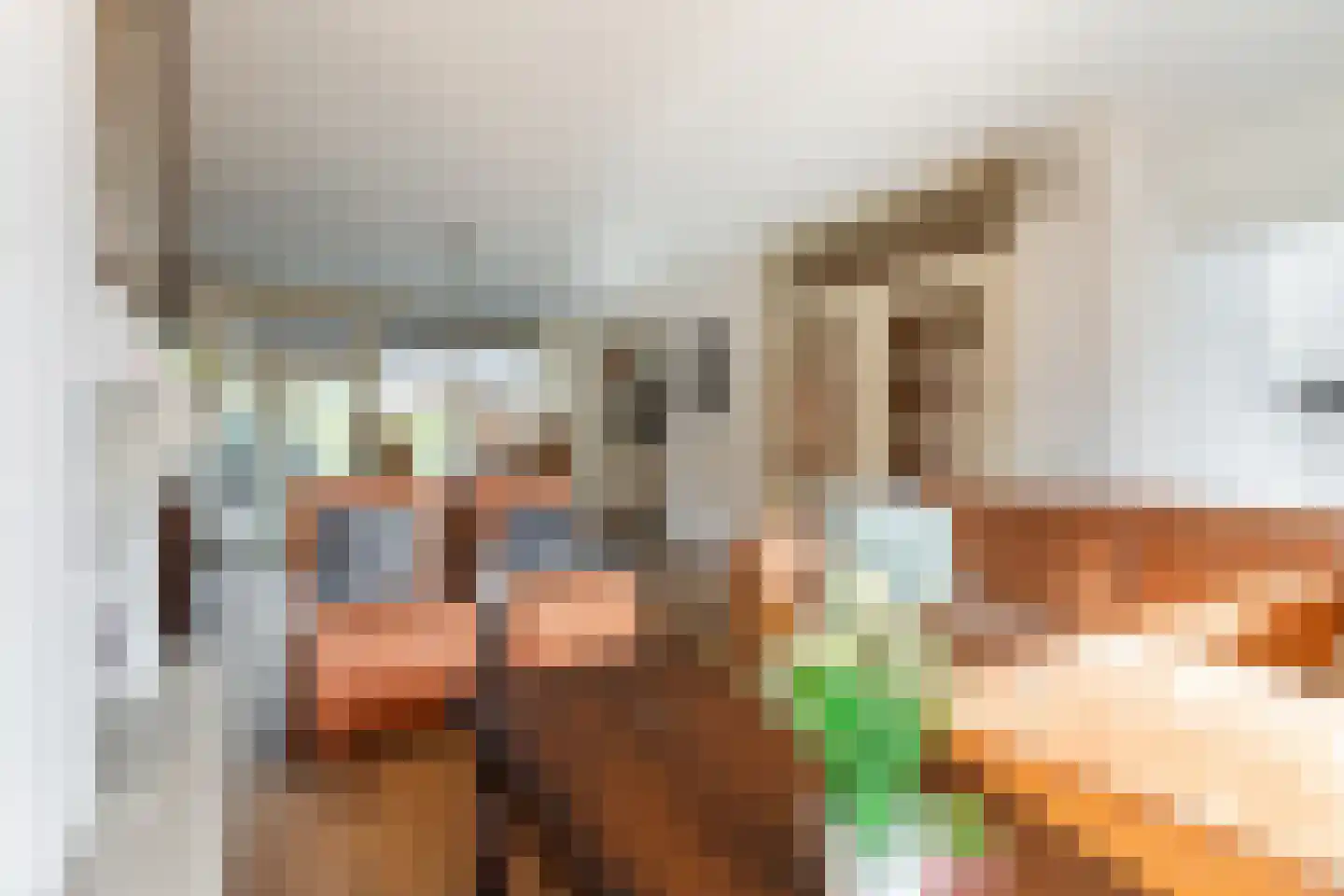 Patrijsstraat 31 Bergen L thumbnail 12