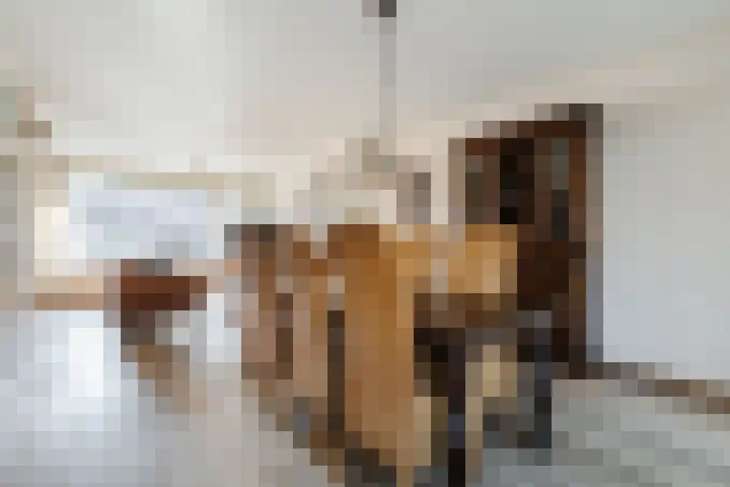 Patrijsstraat 31 Bergen L thumbnail 16