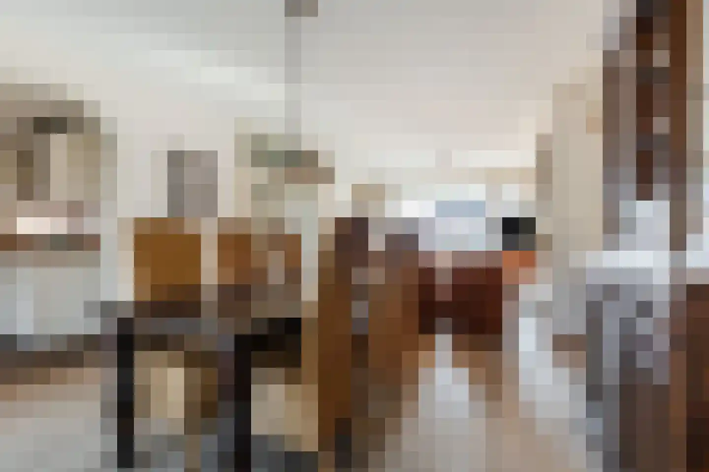 Patrijsstraat 31 Bergen L thumbnail 17