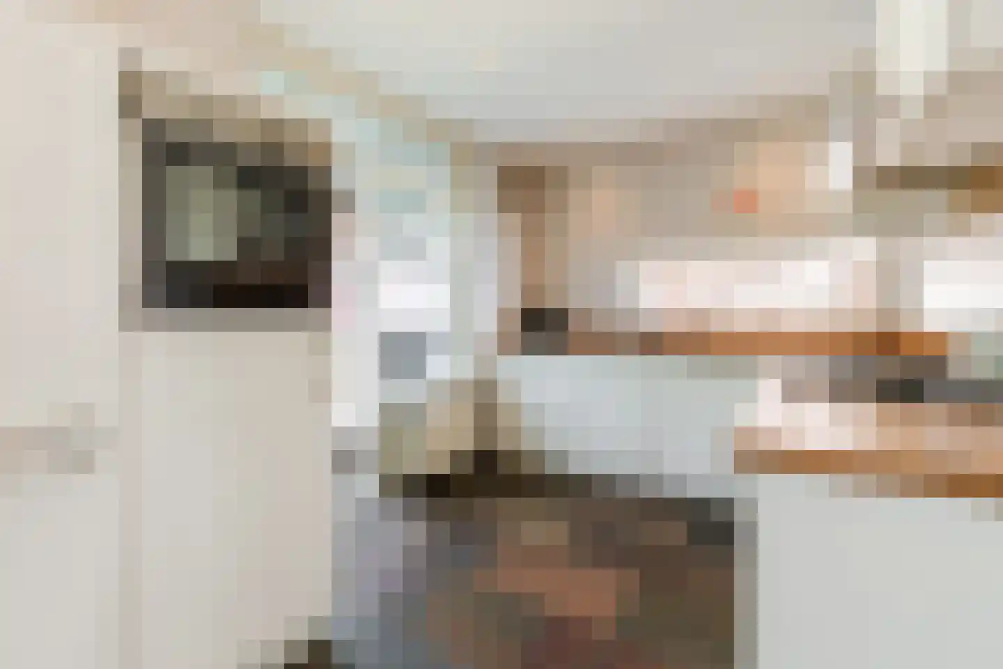 Patrijsstraat 31 Bergen L thumbnail 20