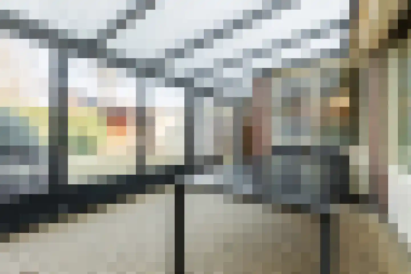 Patrijsstraat 31 Bergen L thumbnail 24