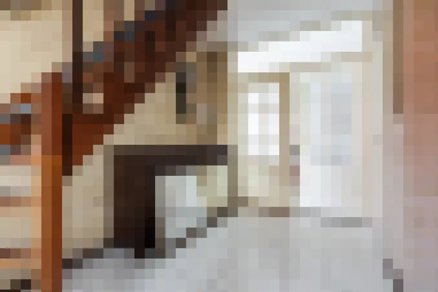 Patrijsstraat 31 Bergen L thumbnail 31