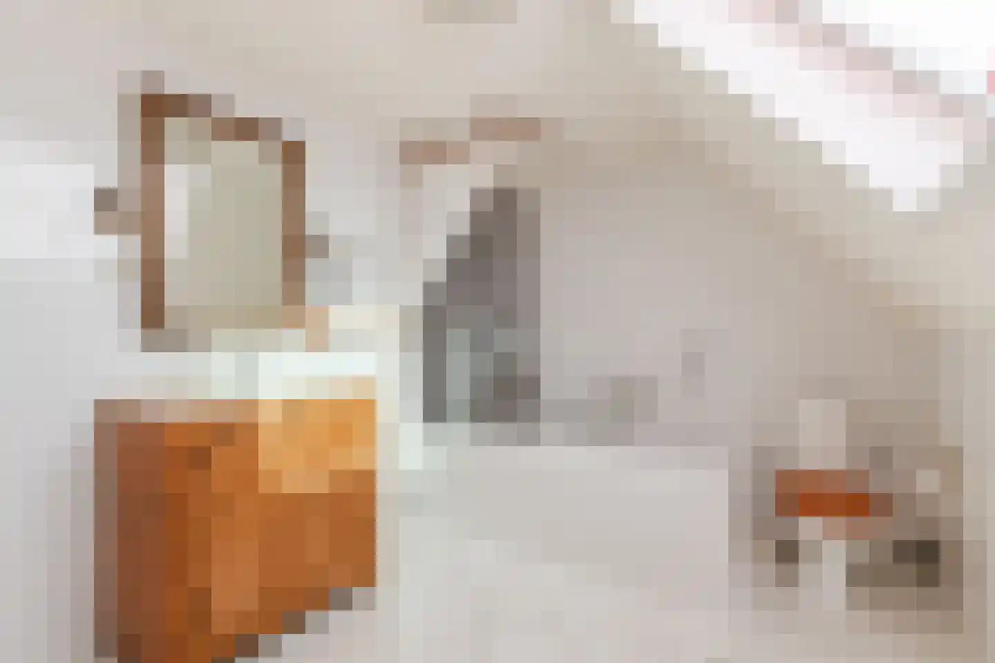 Patrijsstraat 31 Bergen L thumbnail 40