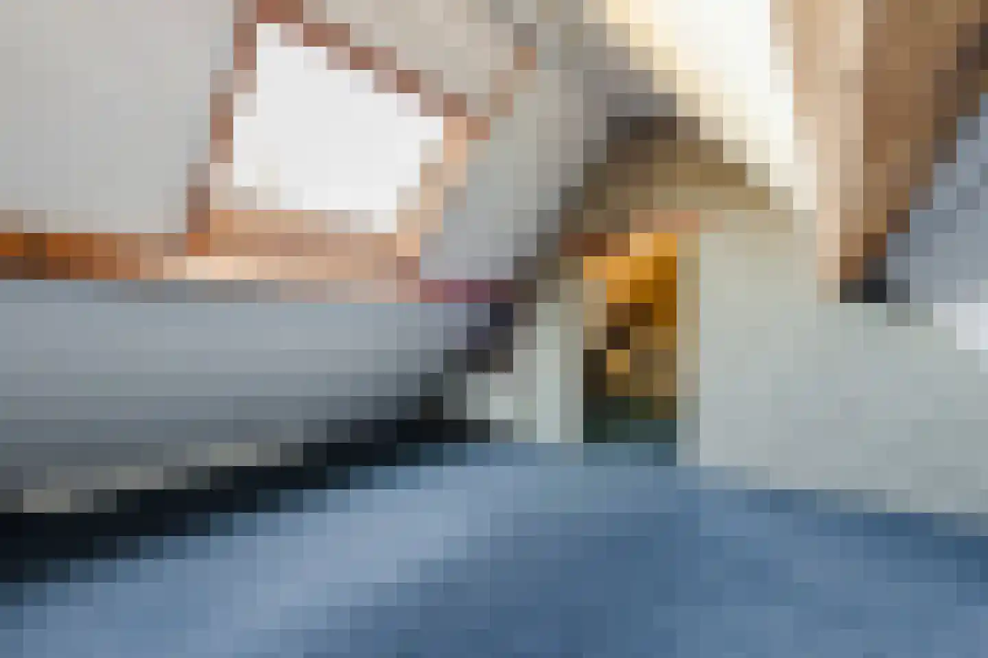 Patrijsstraat 31 Bergen L thumbnail 45