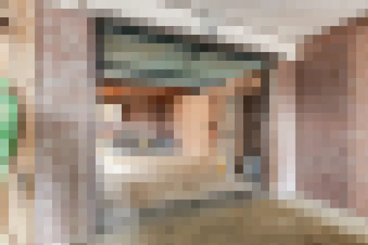 Patrijsstraat 31 Bergen L thumbnail 48