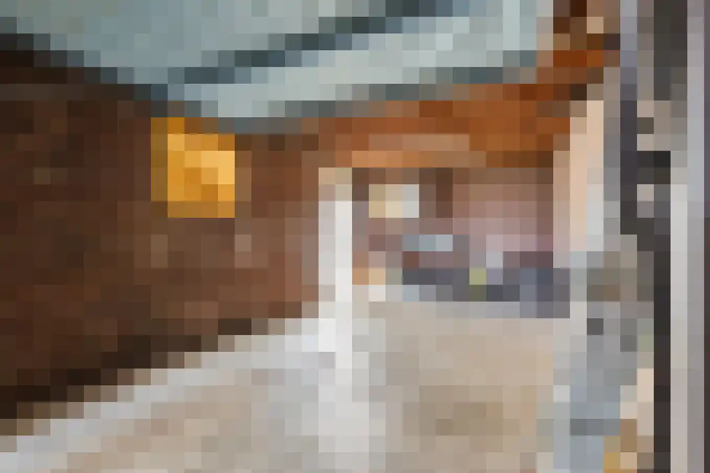 Patrijsstraat 31 Bergen L thumbnail 49