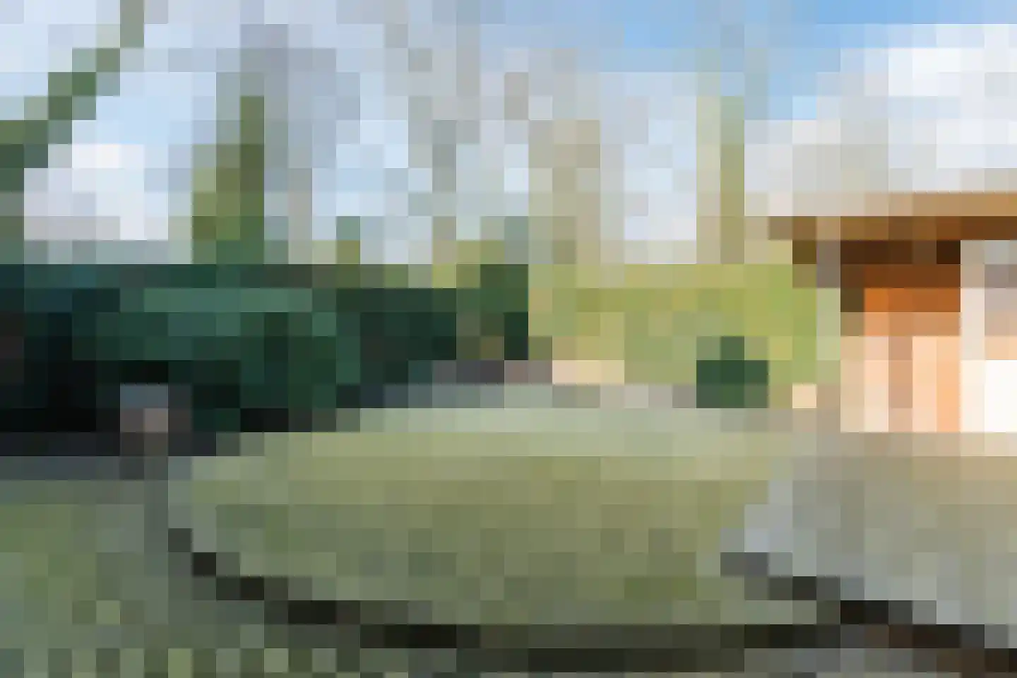 Patrijsstraat 31 Bergen L thumbnail 54