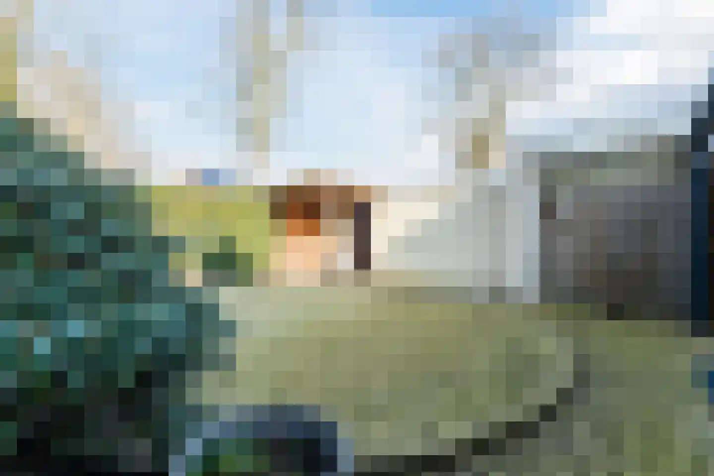 Patrijsstraat 31 Bergen L thumbnail 55