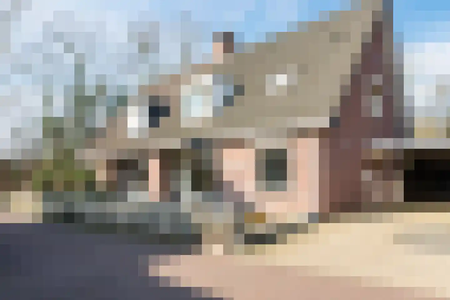 Patrijsstraat 31 Bergen L thumbnail 6