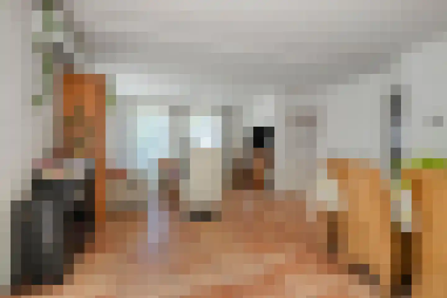 Patrijsstraat 31 De Rips thumbnail 10
