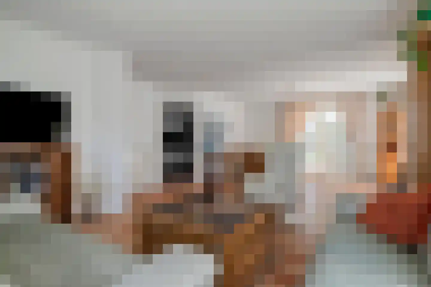 Patrijsstraat 31 De Rips thumbnail 12