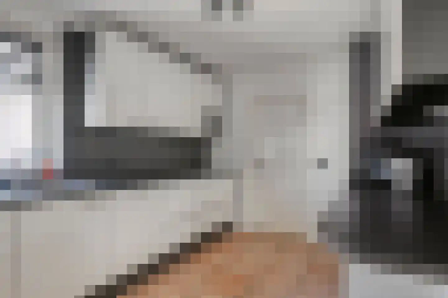 Patrijsstraat 31 De Rips thumbnail 15