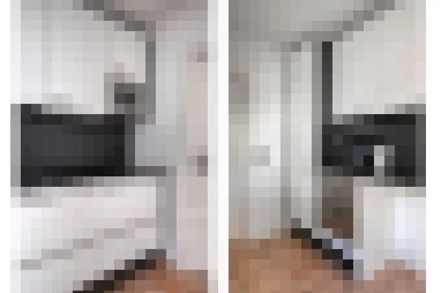Patrijsstraat 31 De Rips thumbnail 17