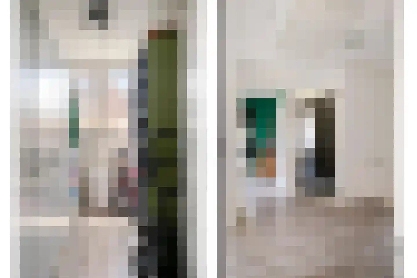 Patrijsstraat 31 De Rips thumbnail 19
