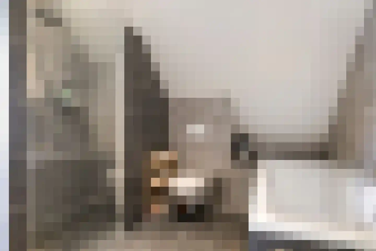Patrijsstraat 31 De Rips thumbnail 22