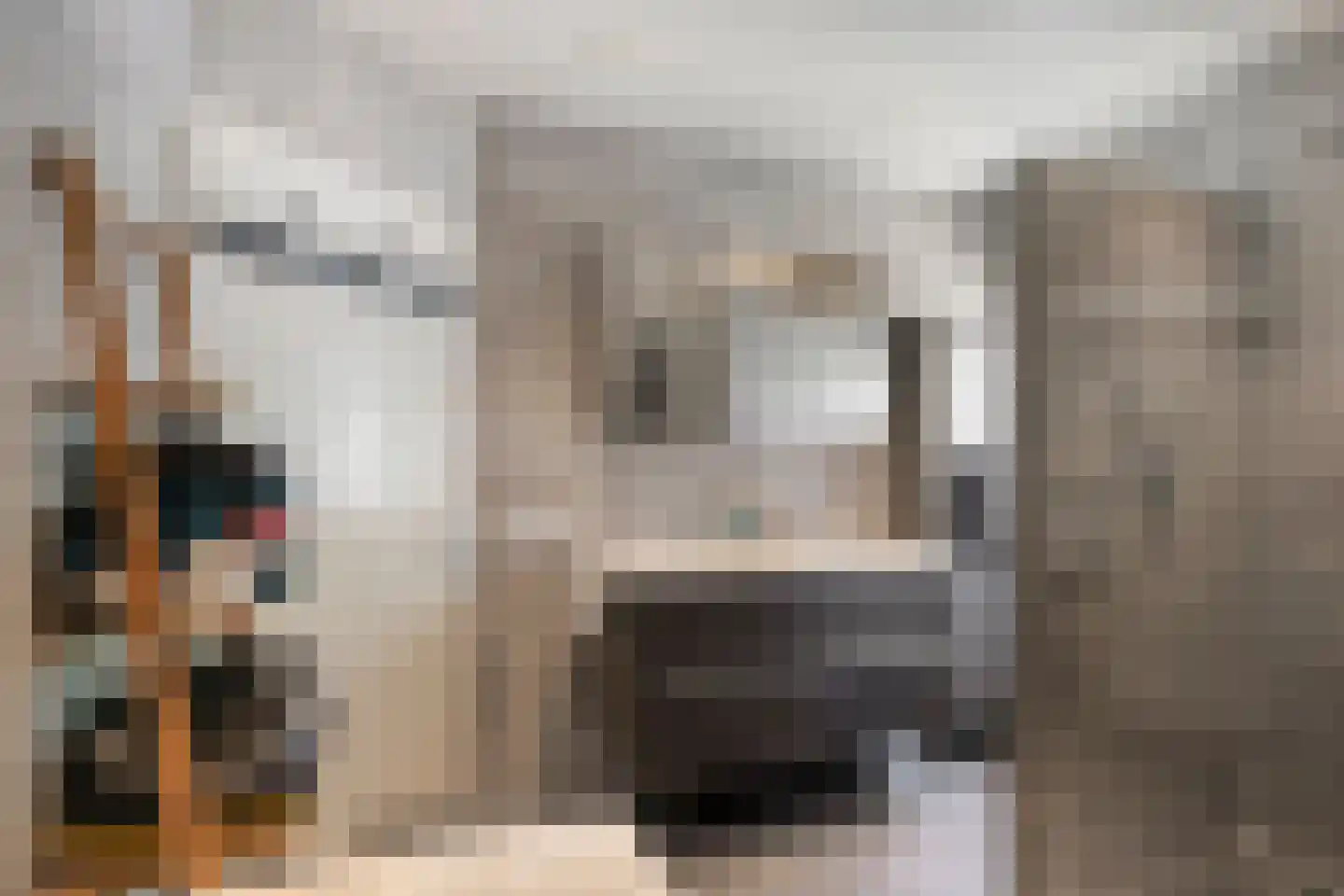 Patrijsstraat 31 De Rips thumbnail 23