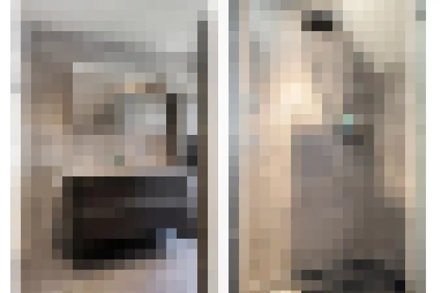 Patrijsstraat 31 De Rips thumbnail 24