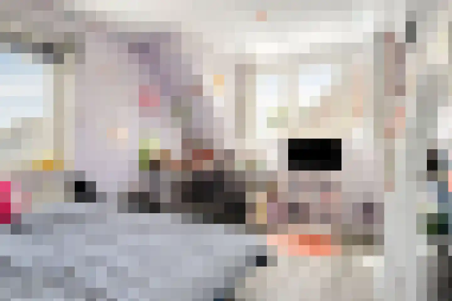 Patrijsstraat 31 De Rips thumbnail 25