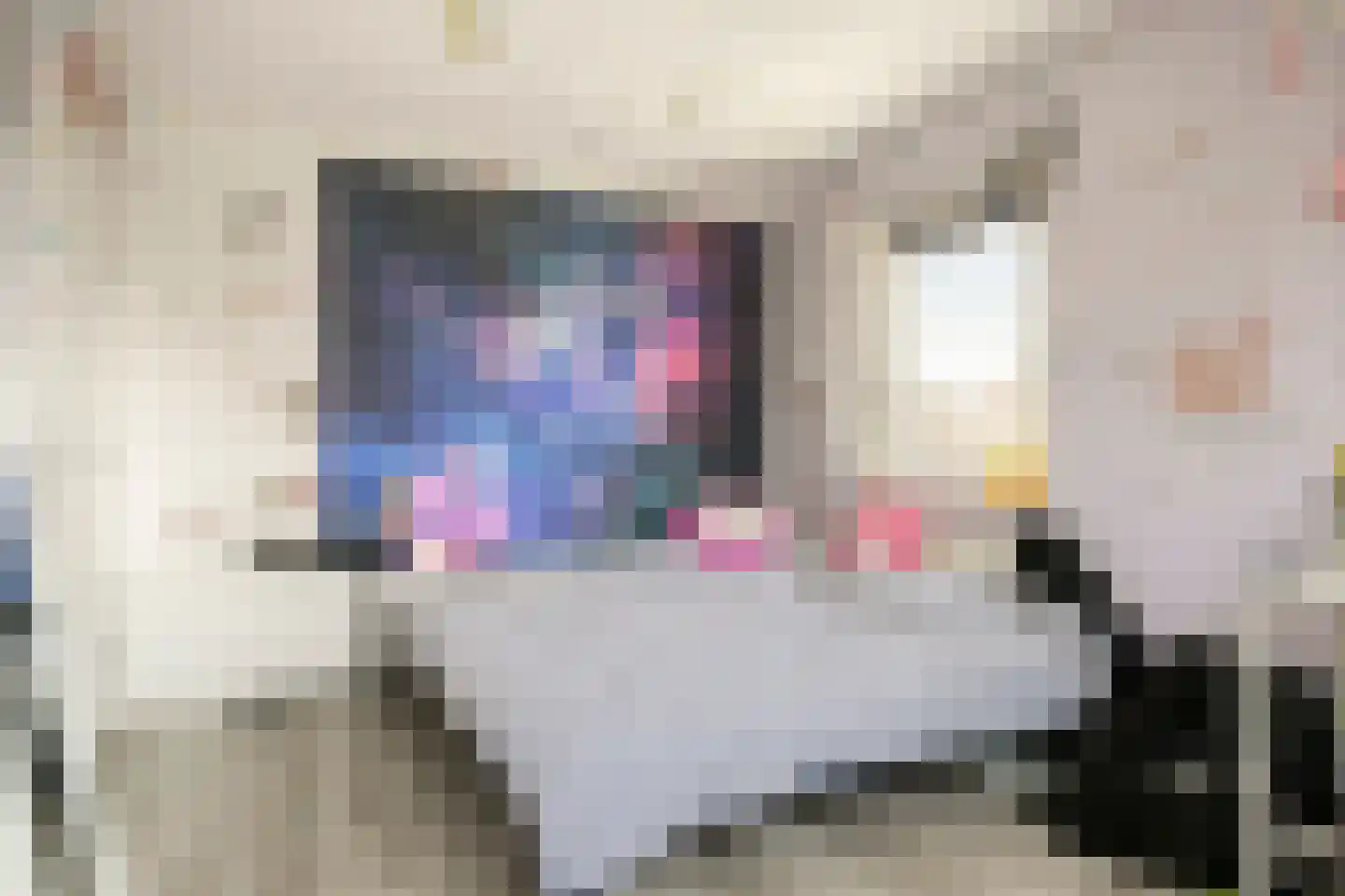 Patrijsstraat 31 De Rips thumbnail 26