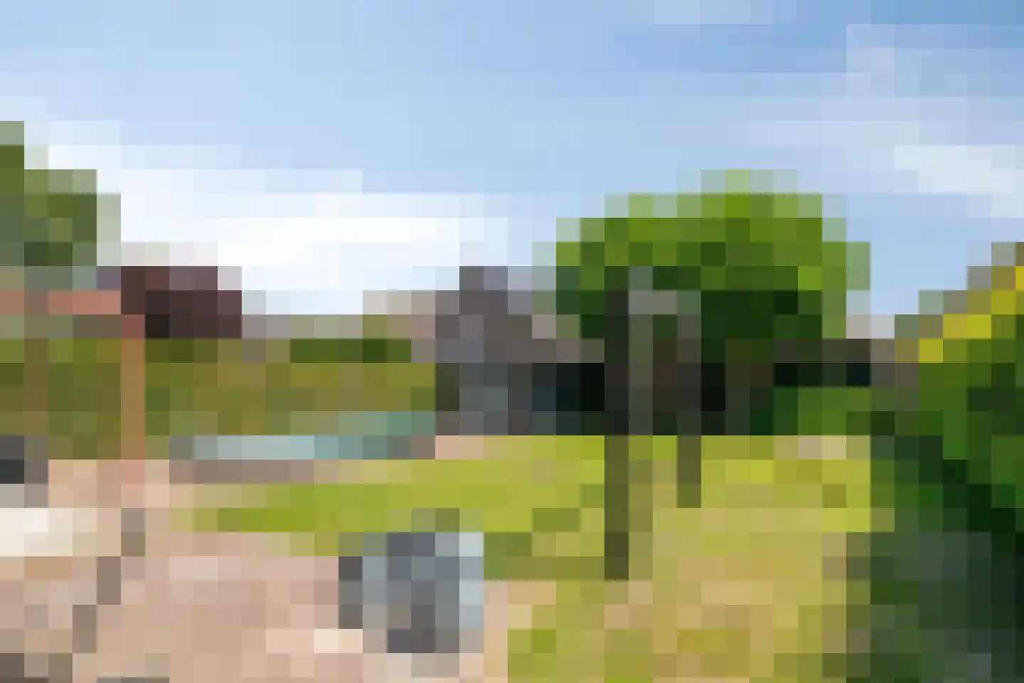 Patrijsstraat 31 De Rips thumbnail 32