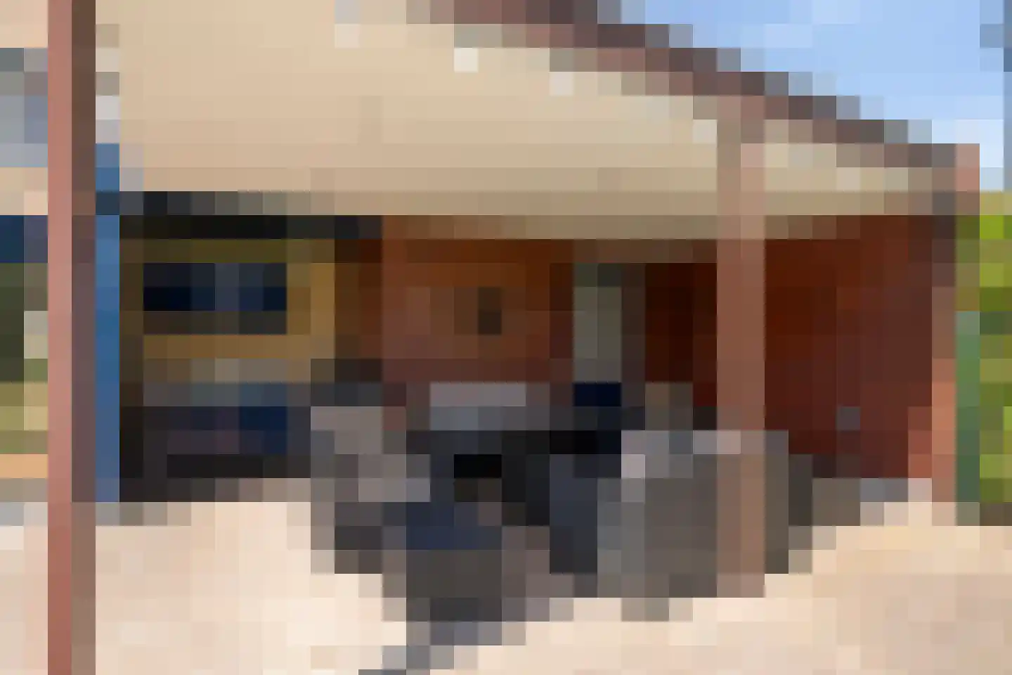 Patrijsstraat 31 De Rips thumbnail 34