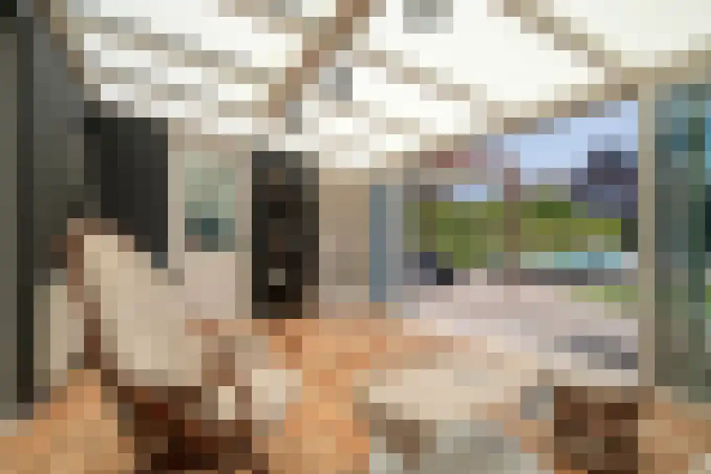 Patrijsstraat 31 De Rips thumbnail 36