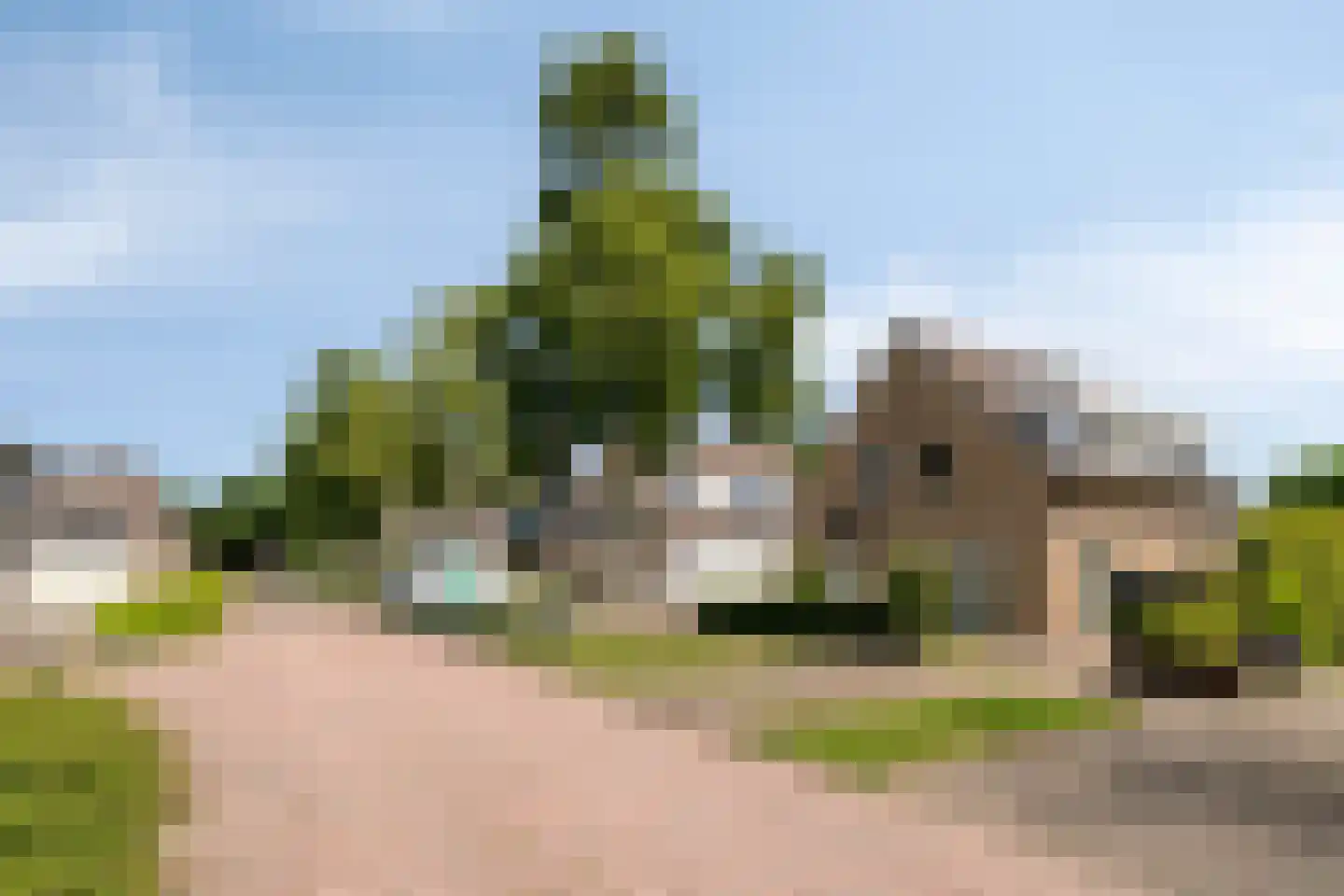 Patrijsstraat 31 De Rips thumbnail 7
