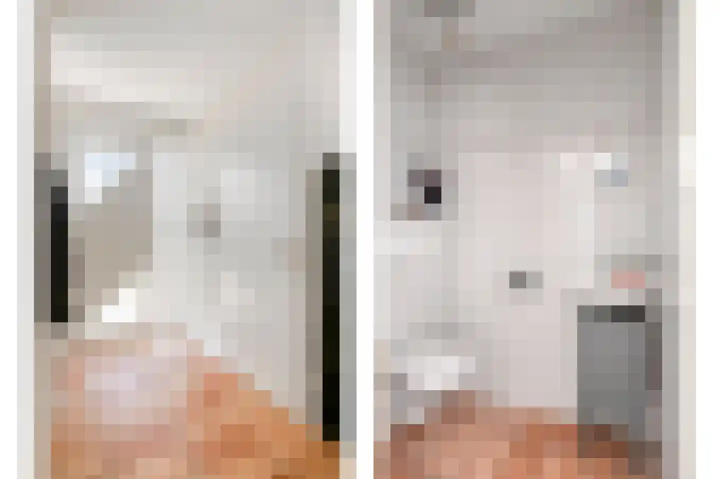 Patrijsstraat 31 De Rips thumbnail 8