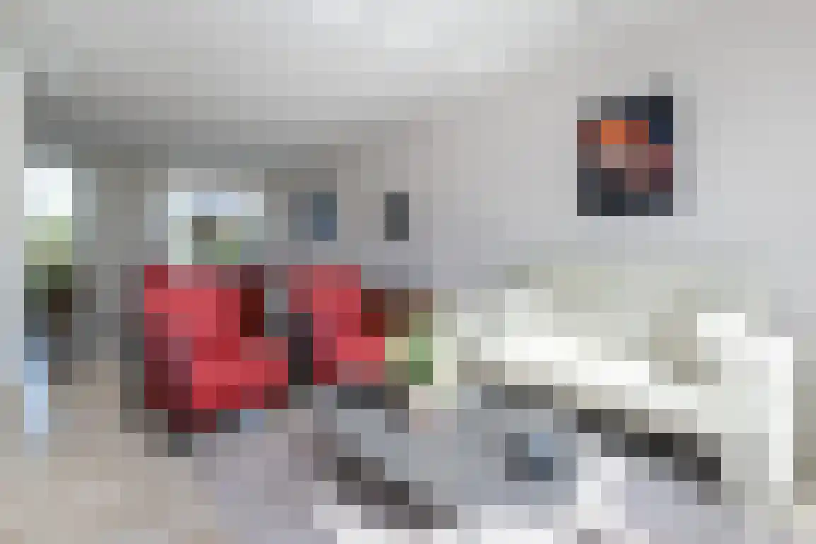 Patrijsstraat 32 Sommelsdijk thumbnail 10