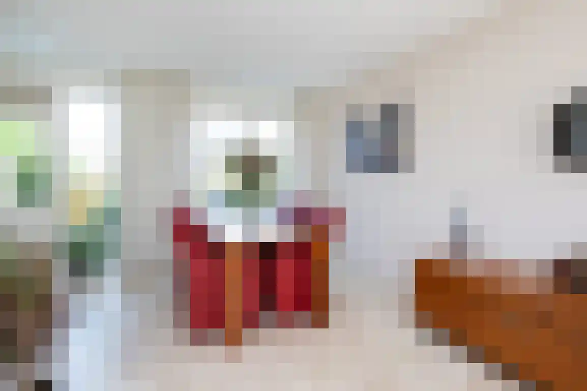 Patrijsstraat 32 Sommelsdijk thumbnail 12