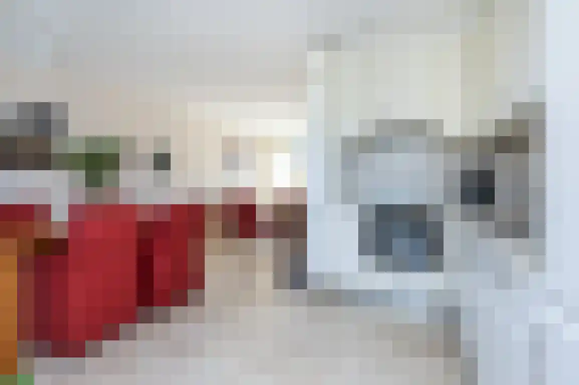 Patrijsstraat 32 Sommelsdijk thumbnail 14