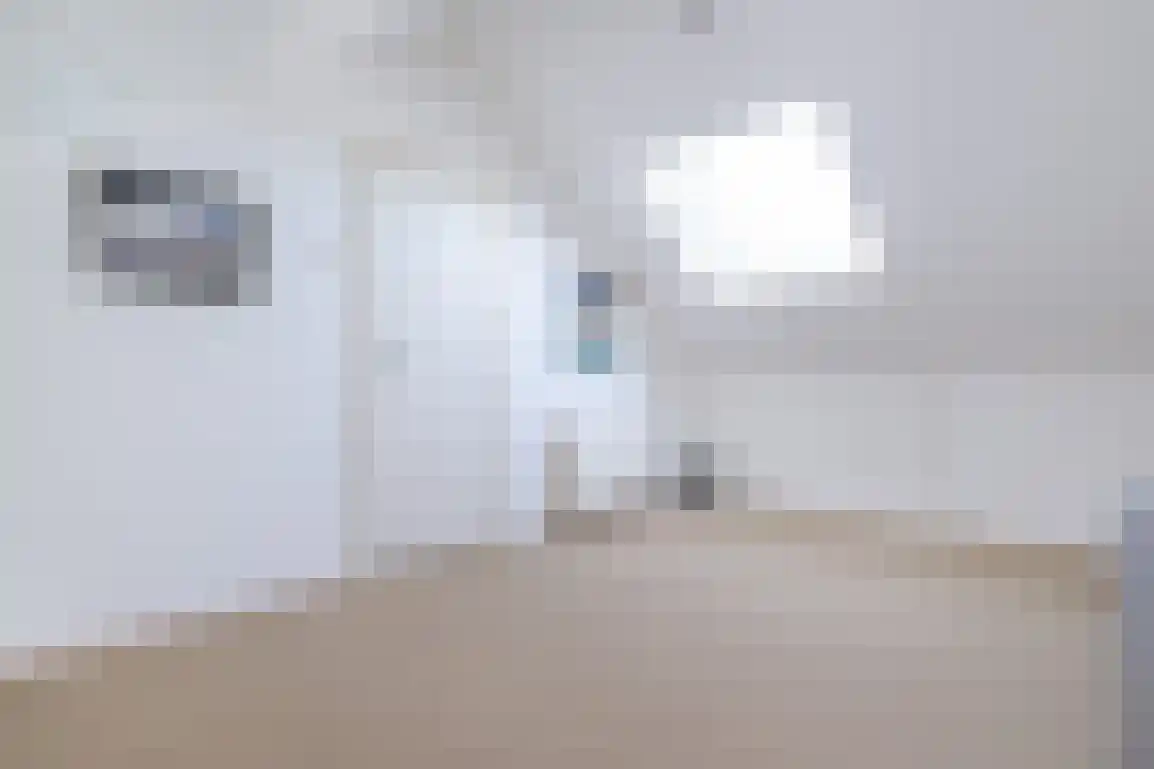 Patrijsstraat 32 Sommelsdijk thumbnail 28
