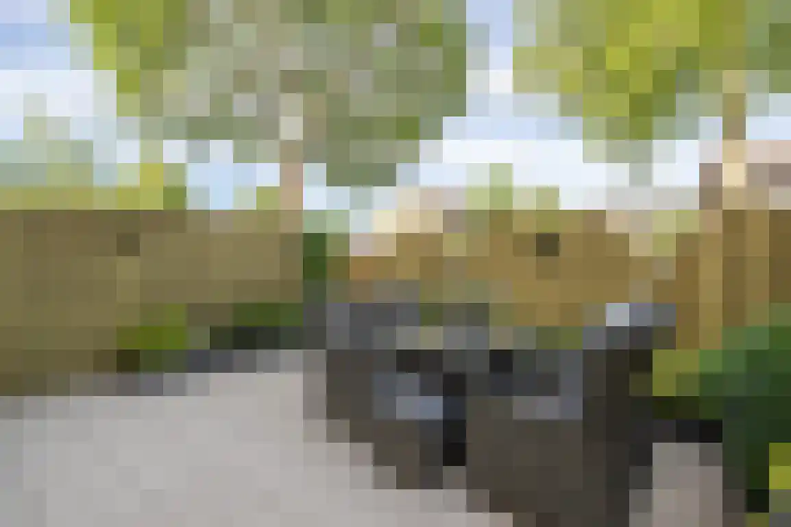 Patrijsstraat 32 Sommelsdijk thumbnail 31