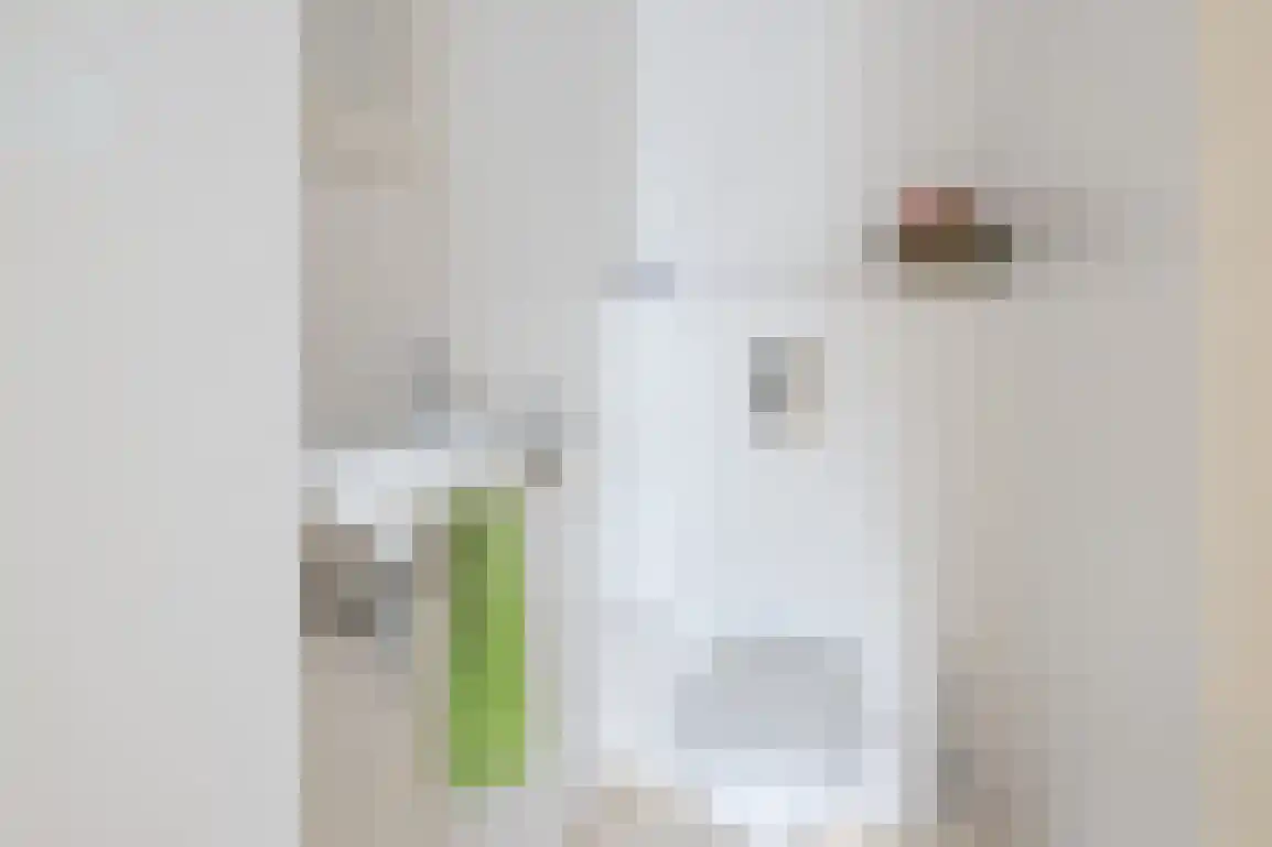 Patrijsstraat 32 Sommelsdijk thumbnail 8