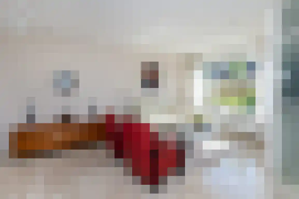Patrijsstraat 32 Sommelsdijk thumbnail 9