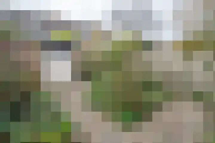 Patrijsstraat 35 Alkmaar thumbnail 16