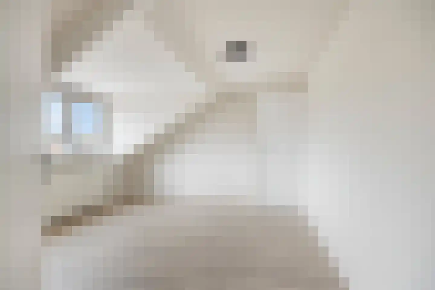 Patrijsstraat 4 A Oss thumbnail 19