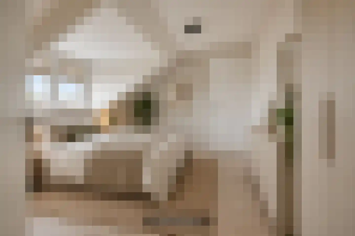 Patrijsstraat 4 A Oss thumbnail 20