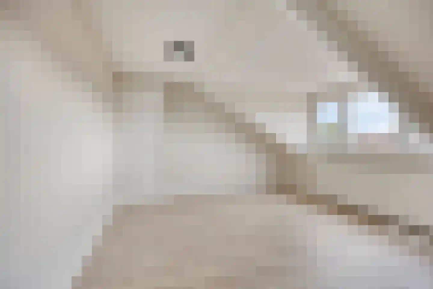 Patrijsstraat 4 A Oss thumbnail 22