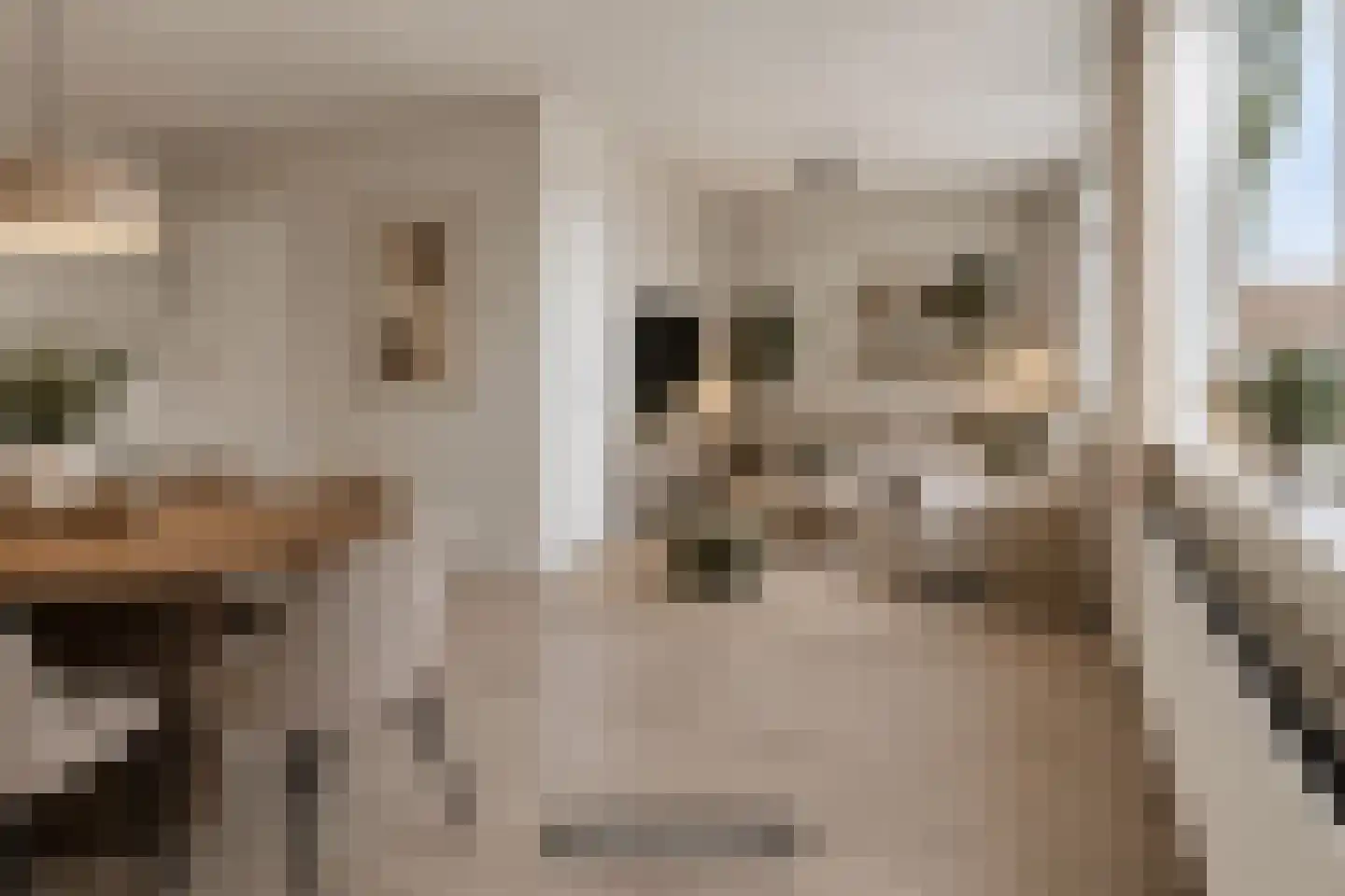 Patrijsstraat 4 A Oss thumbnail 8