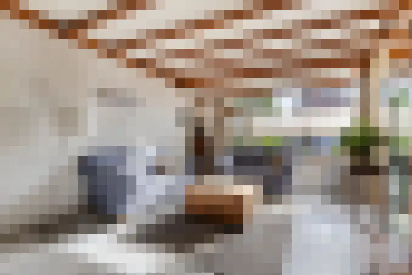 Patrijsstraat 4 Zundert thumbnail 10