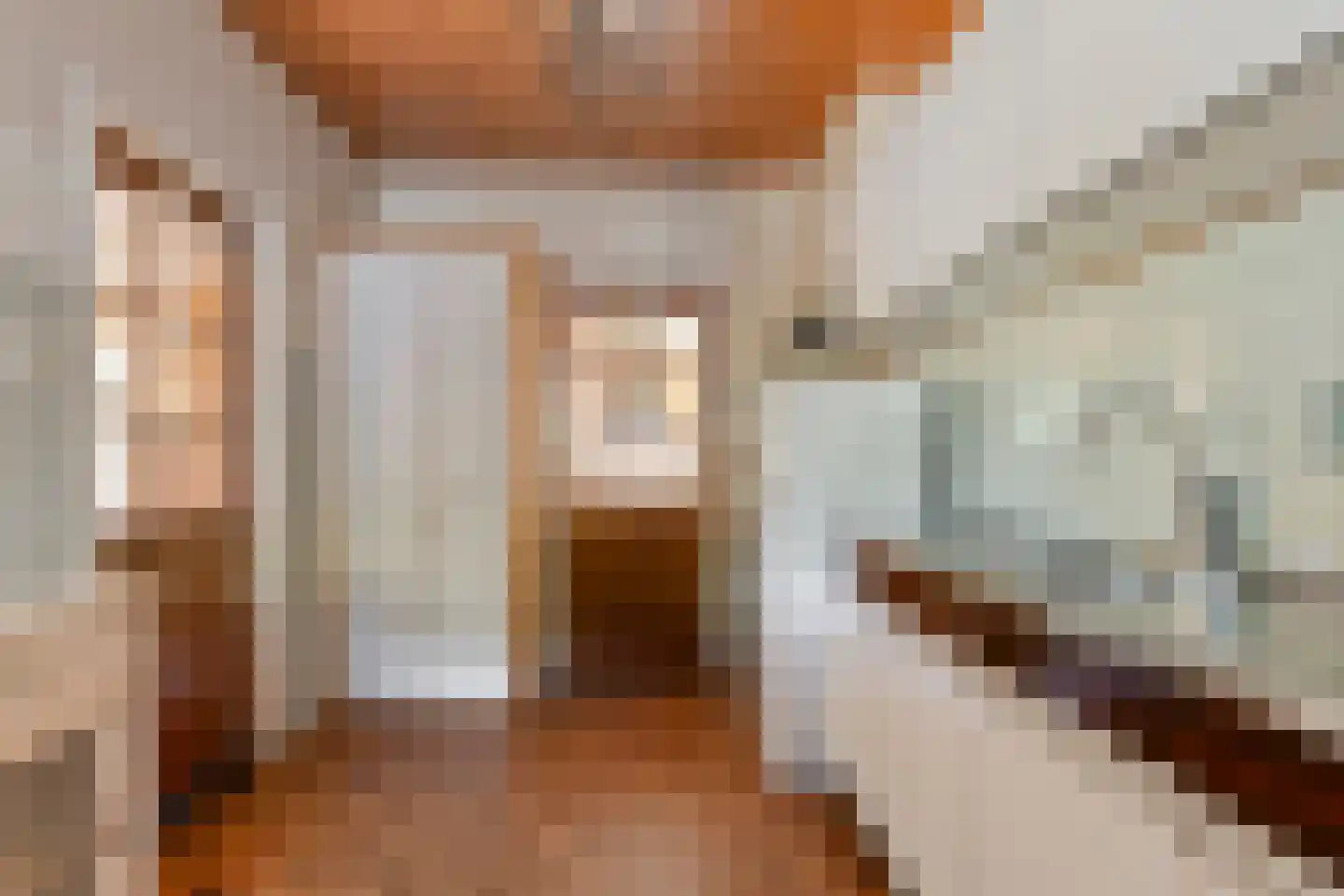Patrijsstraat 4 Zundert thumbnail 14