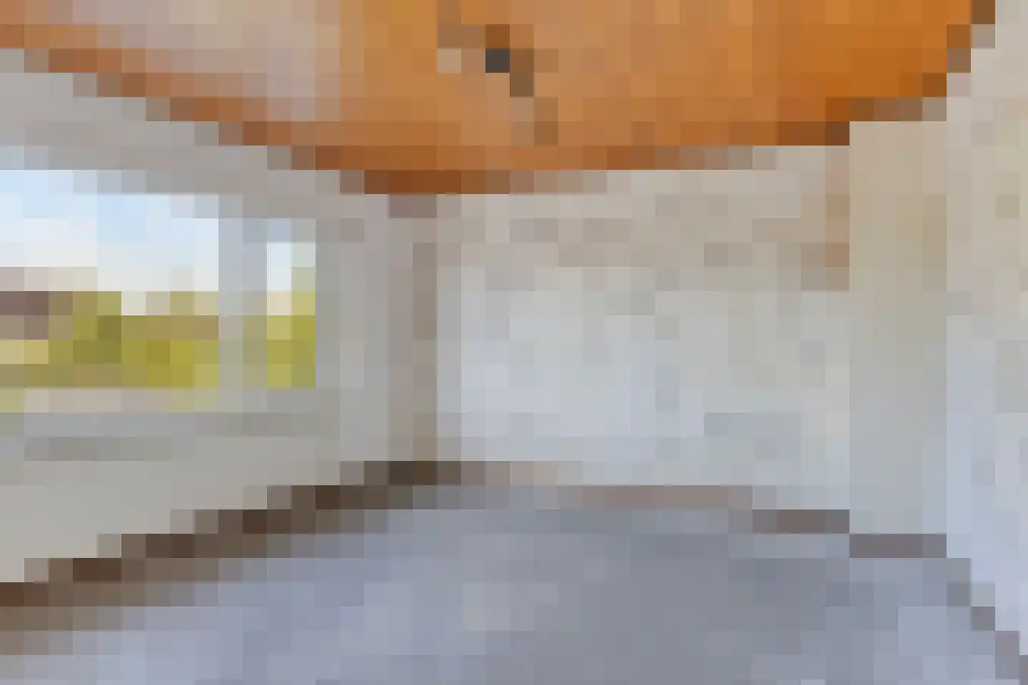Patrijsstraat 4 Zundert thumbnail 21