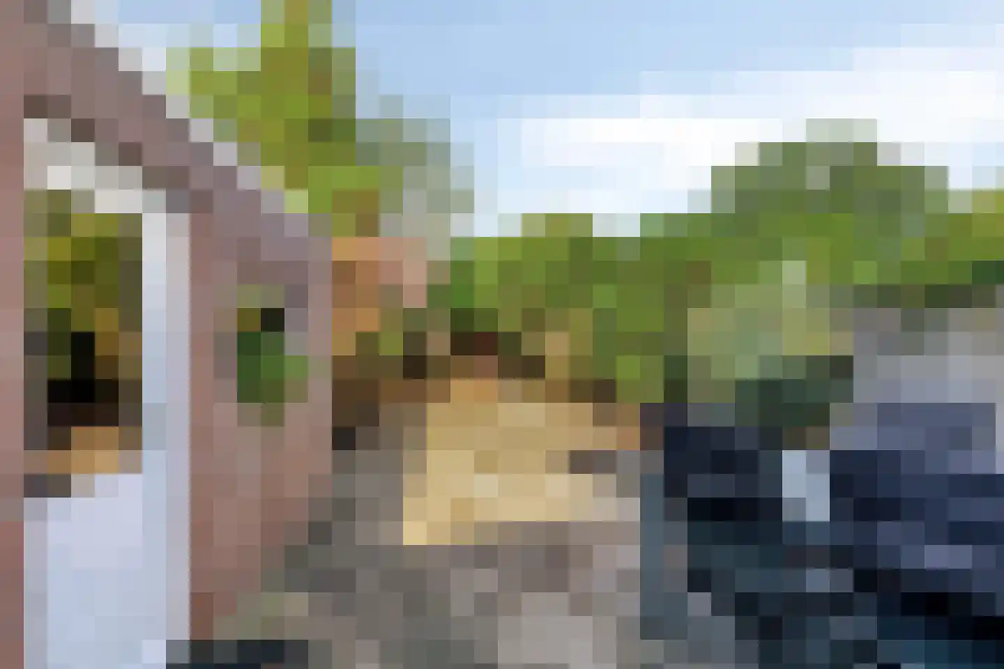 Patrijsstraat 4 Zundert thumbnail 31