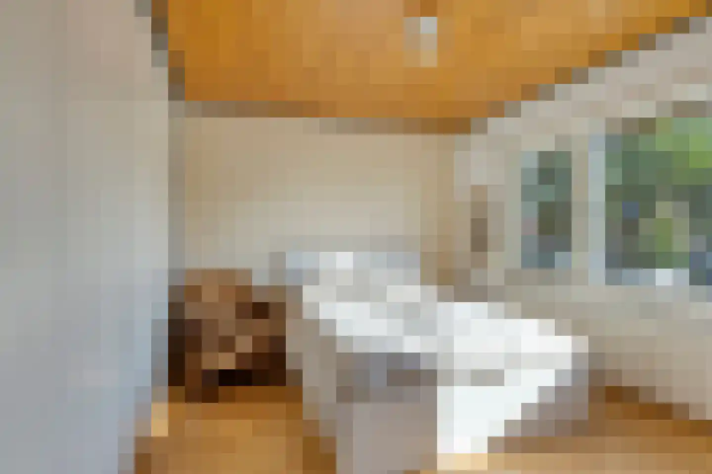 Patrijsstraat 4 Zundert thumbnail 4