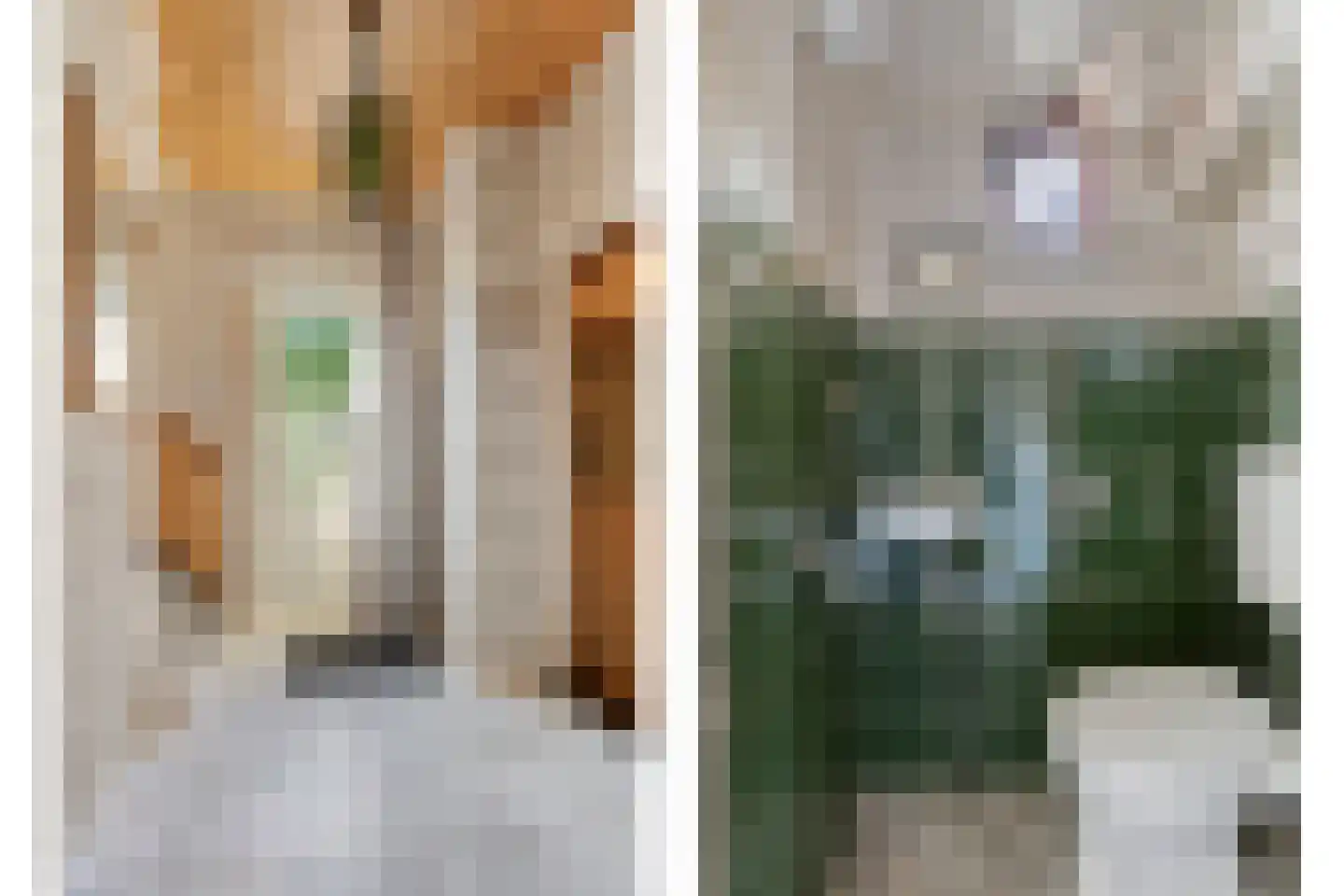 Patrijsstraat 4 Zundert thumbnail 9
