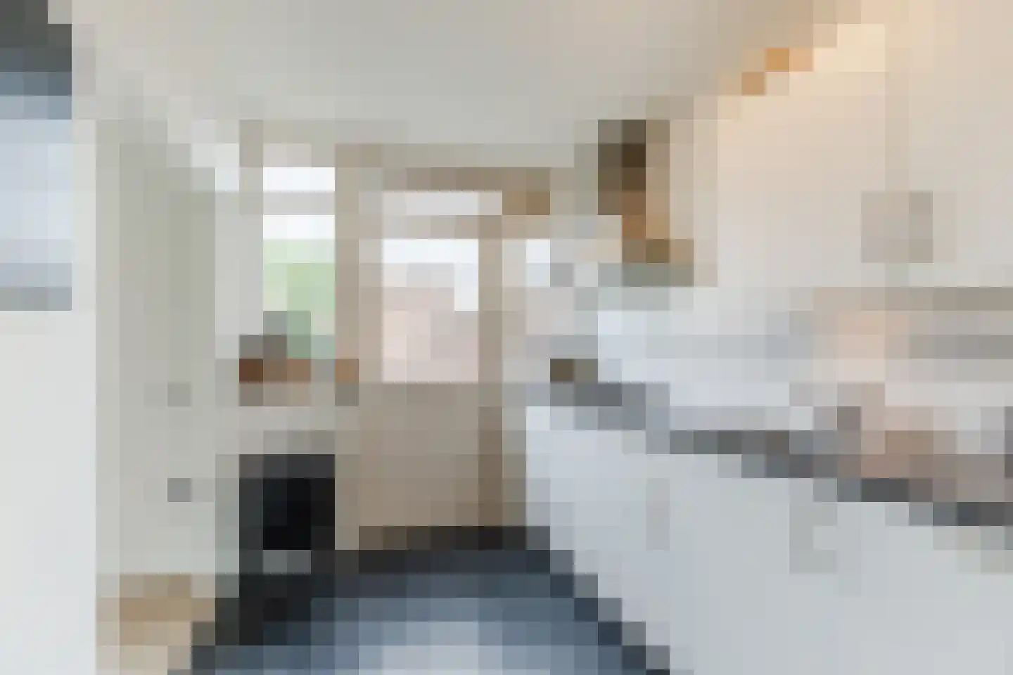 Patrijsstraat 40 Zundert thumbnail 16