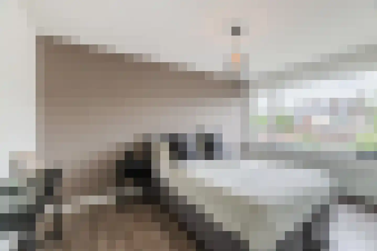 Patrijsstraat 40 Zundert thumbnail 18